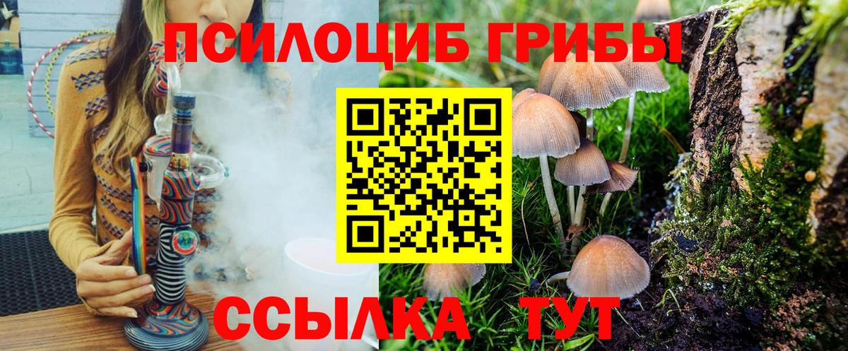Галлюциногенные грибы Cubensis Новоалександровск